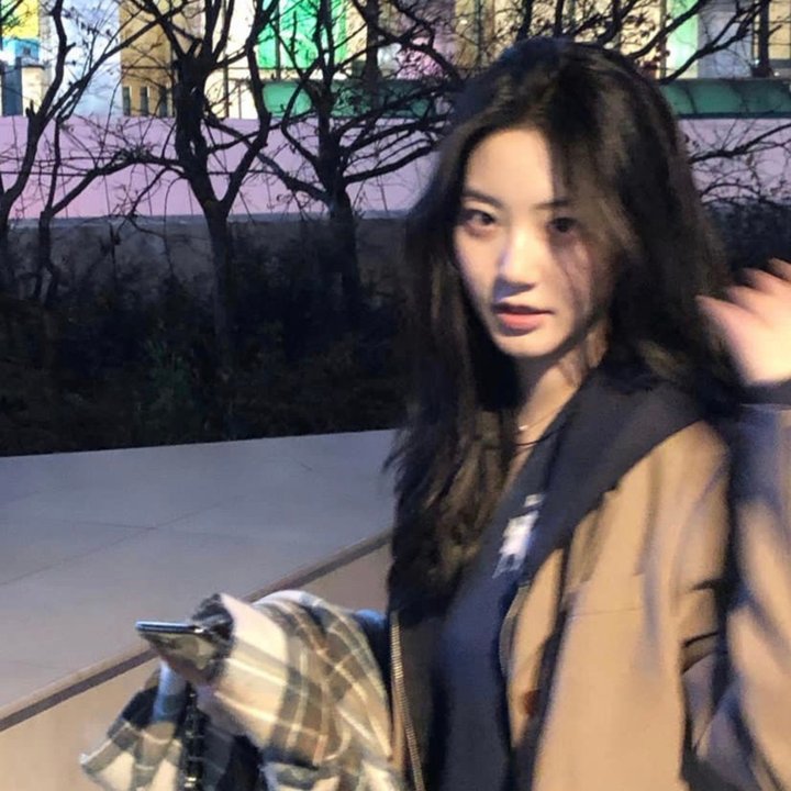 战争姐妹