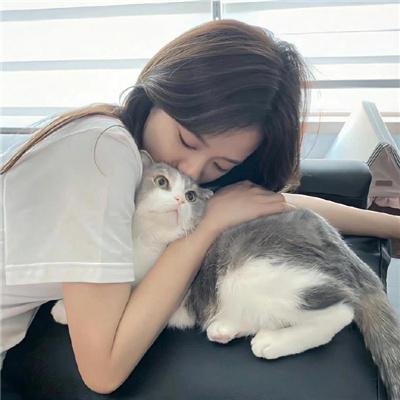 猫儿协奏曲